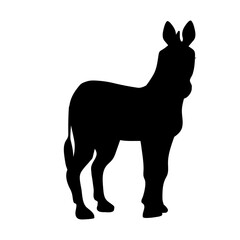 Silhouette of African savanna animal zebra. Vector graphics.