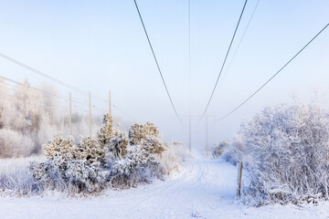 Hiking trail on a cold winter day under a power line