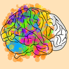 creative illustration handdrawn brain colored brain