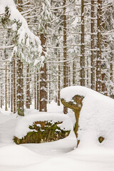 Stone formations with snow on them in the forest