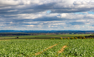 Autumn landscape with fields and sky. South Czechia.