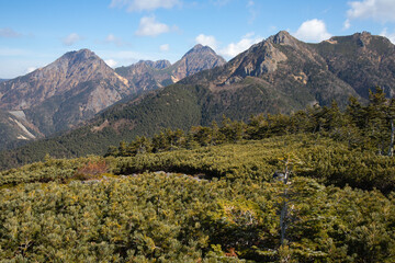 網笠山から見る秋の南八ヶ岳