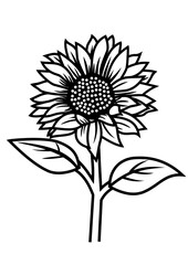 sunflower vector line art black white outline coloring book illustration