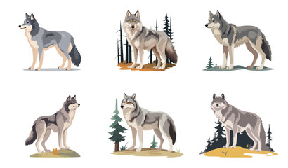 Big set grey wolf, wild forest canine animal. Vector cartoon, flat elements isolated on background