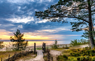 Colorful sunset on sandy beach of the Baltic sea and branches of pine trees over wooden bridge and...