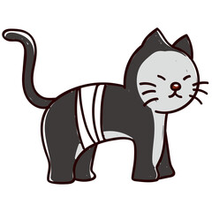 Cat wearing elizabethan collar.