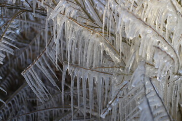 Winter on the seashore. Natural ice sculptures created by wind and wave.