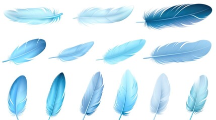 Tranquil Blue Feather Arrangement on White Background