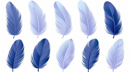 Tranquil Blue Feather Arrangement on White Background
