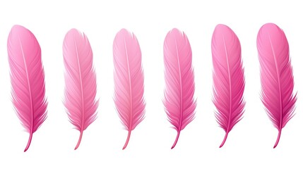 Ethereal Pink Feathers on White Background