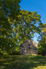 An ancient Orthodox church made of stones on a hill against the background of an oak tree on a...