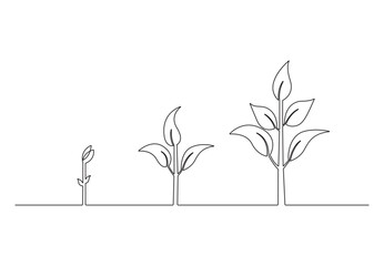 Continuous one line drawing of step of plant growth. Isolated on white background vector illustration. Premium vector. 