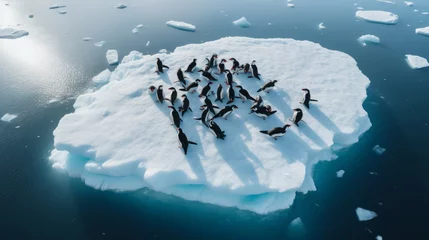 Gordijnen Concept of the problem of climate change, global warming and melting of glaciers. A colony of penguins are sitting on a large ice floe in the middle of the ocean. Aerial view, Generative AI. © Nikolai