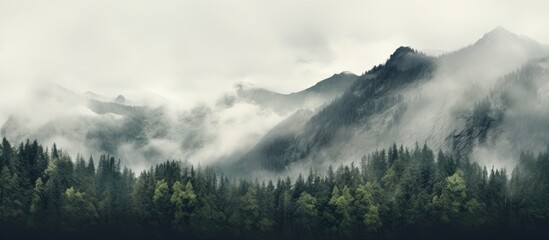Cloudy ridge with dense forest on one side and wisps on the other - obrazy, fototapety, plakaty