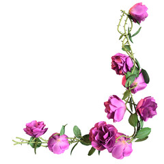 A 3d rendered illustration of a branch filled with pink roses as an overlay 