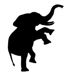 Silhouette of a big elephant animal. Silhouette of a wild elephant animal.
