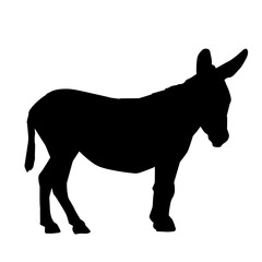Silhouette of a donkey horse animal isolated on white background.
