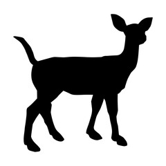 Silhouette of a female deer animal in wildlife isolated on white background.