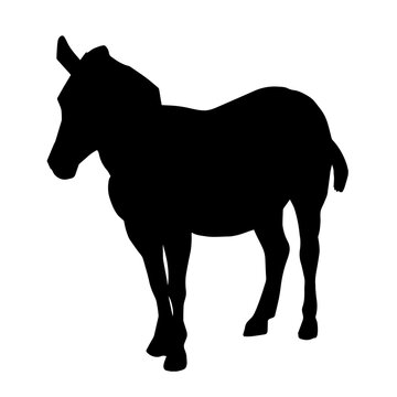 Silhouette of a horse in standing pose isolated on white background.