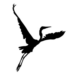 Silhouette of a crane bird with long neck and long legs. Silhouette of a crane bird with spread wings.