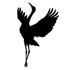 Silhouette of a crane bird with long neck and long legs. Silhouette of a crane bird with spread wings.