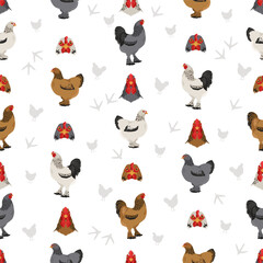 Brahma Chicken breeds seamless pattern. Poultry and farm animals. Different colors set