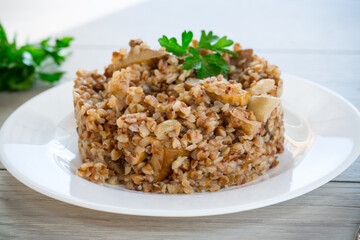 cooked buckwheat boiled with mushroom filling in a plate