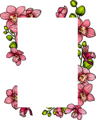 Frame with Pink purple exotic orchid flowers, floral vector illustration for wedding event invitation © babanova