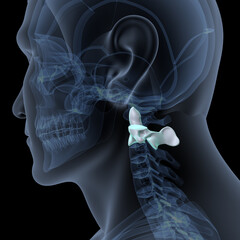 male skeleton backbone parts anatomy. 3d  illustration - obrazy, fototapety, plakaty