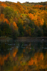 Herbstlandschaft in Hildesheim