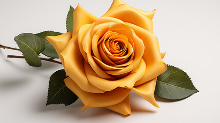 a single yellow rose photo made with generative AI