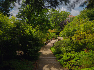 Japanese park in Vienna on a summer day. Zetagaya Park is small, quiet Japanese garden with cherry trees and fish pond, open to public from April to October.