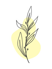 Vector doodle plant, narrow leaves with yellow spot on isolated background. For postcards, prints, designs.