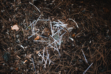 Trash litter in forest grounds picnic