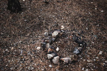 Natural furnace from stones in forest