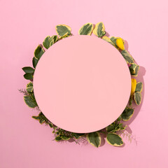 Fresh green leaves wreath, creative pastel pink copy space in center. 