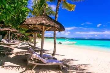 Poster Best tropics destination . tropical beach scenery. Mauritius island, Belle mare beach © Freesurf