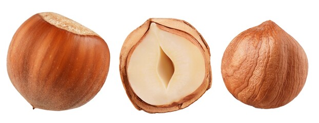 Hazelnut isolated on white background, collection