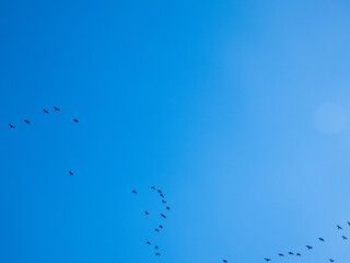 blue sky with clouds