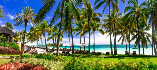 Poster Best tropics destination . Exotic tropical beach scenery. Mauritius island © Freesurf