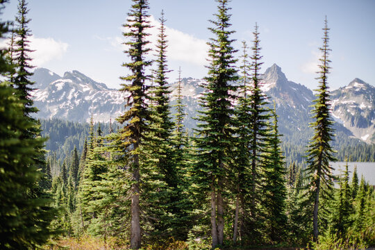 Skyline Trail 