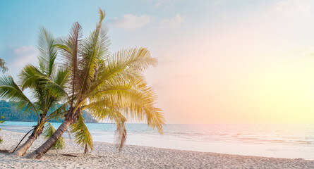 Sand beach, palm trees, and an island.Motivate a lush beach with a beautiful horizonCalm and...