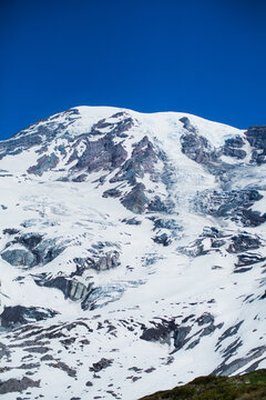 Mt. Rainier