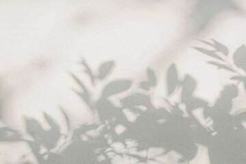 Leaf shadow and light on wall grey background. Nature tropical leaves plant tree branch shade sunshine . Sunlight on white wall texture for background wallpaper, shadows overlay effect foliage mockup