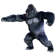 3D Rendering Black Gorilla Ape on White