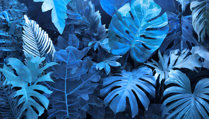 collection of tropical leavesfoliage plant in blue