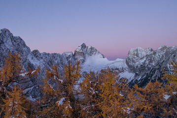 snow covered mountains