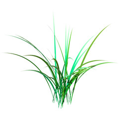 3D Rendering Patch of Grass on White
