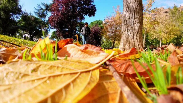 Young woman walking over autumn foliage