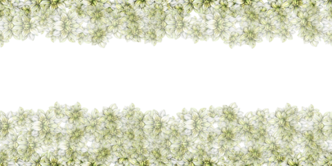 Watercolor dahlia flowers seamless horizontal background. Blooming flower garden. Design for baby shower party, birthday, cake, holiday celebration design, posters, greetings card, invitation.